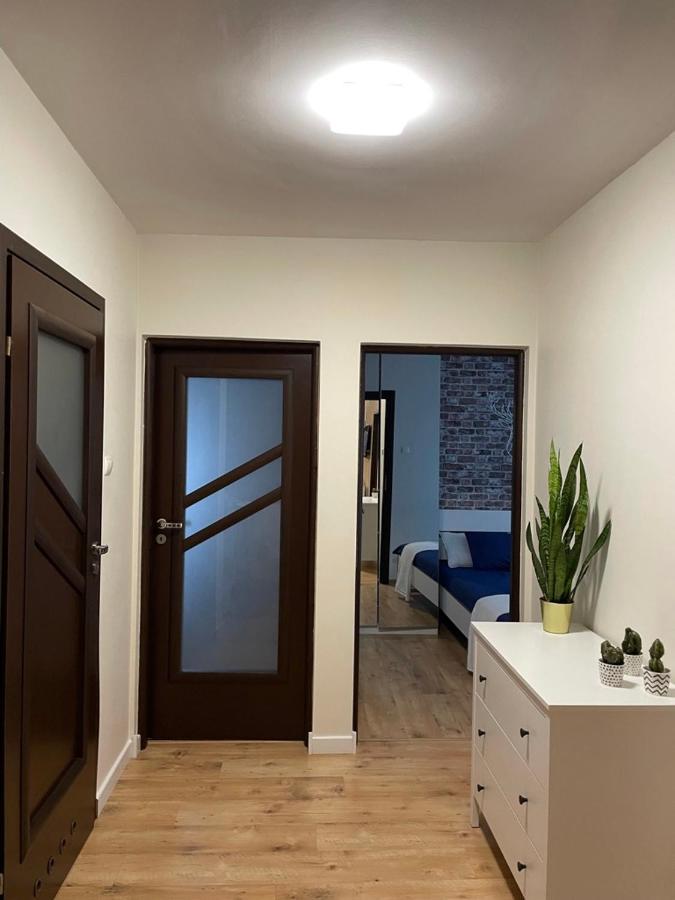 Apartament Podleska 克拉科夫 外观 照片